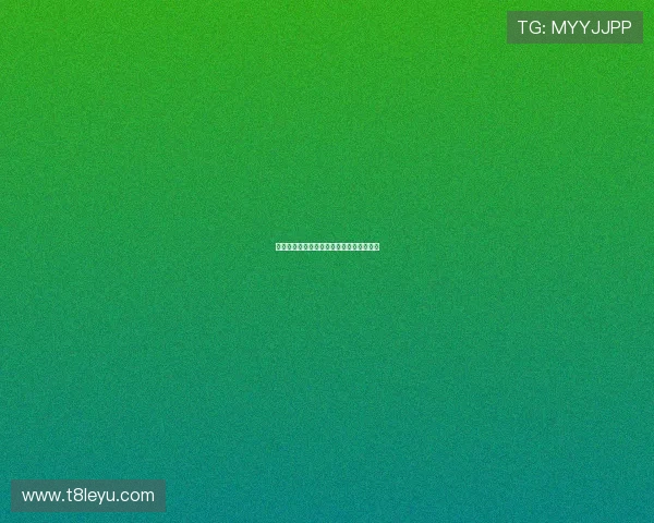 普利西奇：美国足球未来核心，迎接新挑战