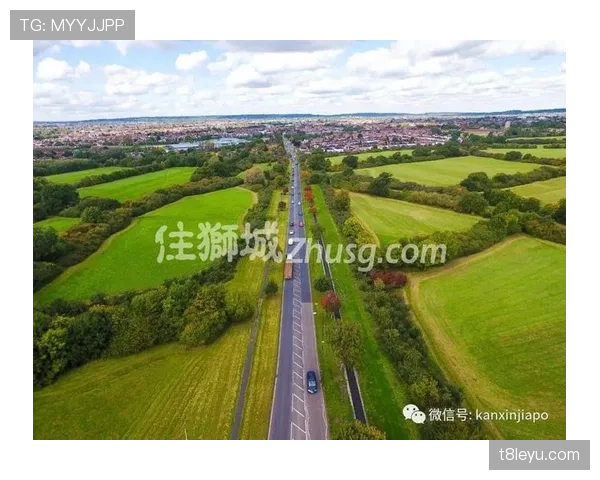 荷兰2026复兴计划启动：新战略重塑国家经济格局与文化未来