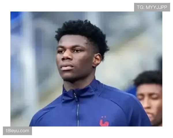 楚阿梅尼关键比赛表现解析 楚阿梅尼关键比赛表现解析